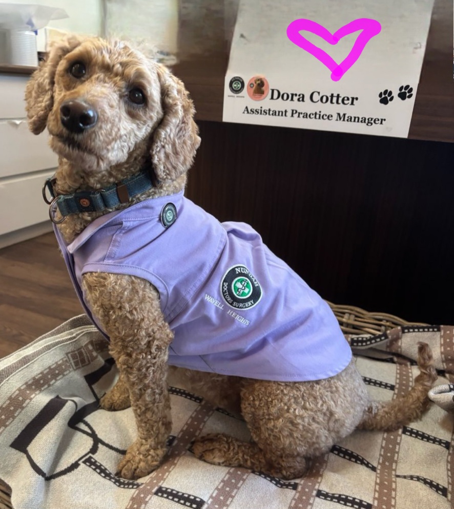 Wavell Heights doctors